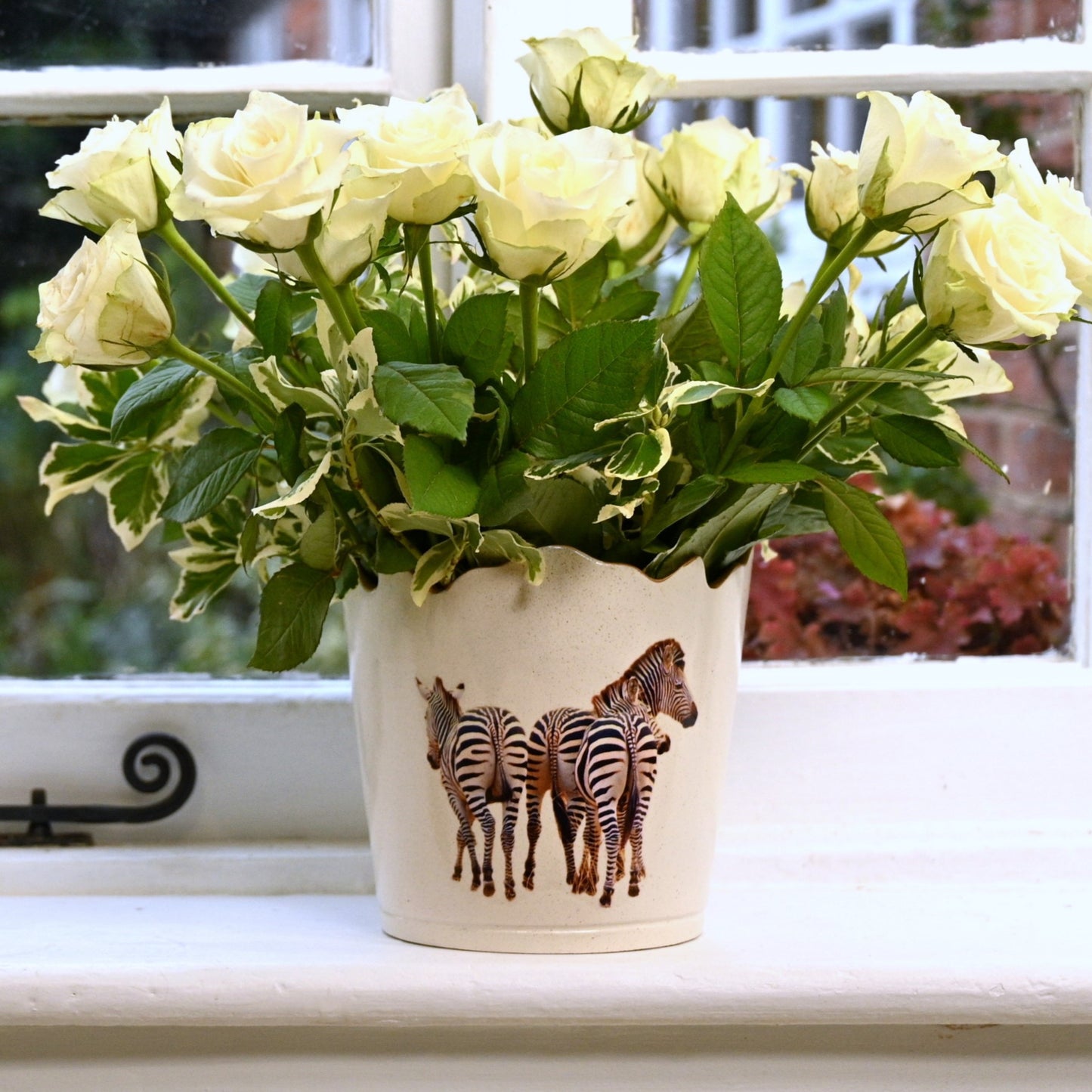 Scalloped Top Cachepot/Decorative Planter: Zebra