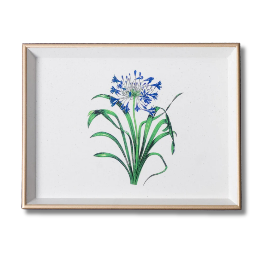 tray with agapanthus image and gold rim
