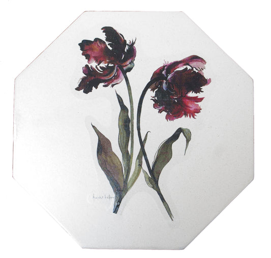 Octagonal Tablemats Set of 4 (boxed): Parrot Tulip