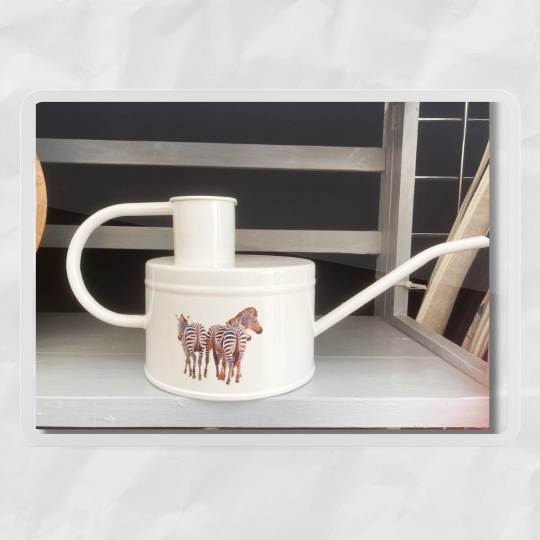 A white watering can with a hand-painted zebra design on the side, standing upright against a grey background.