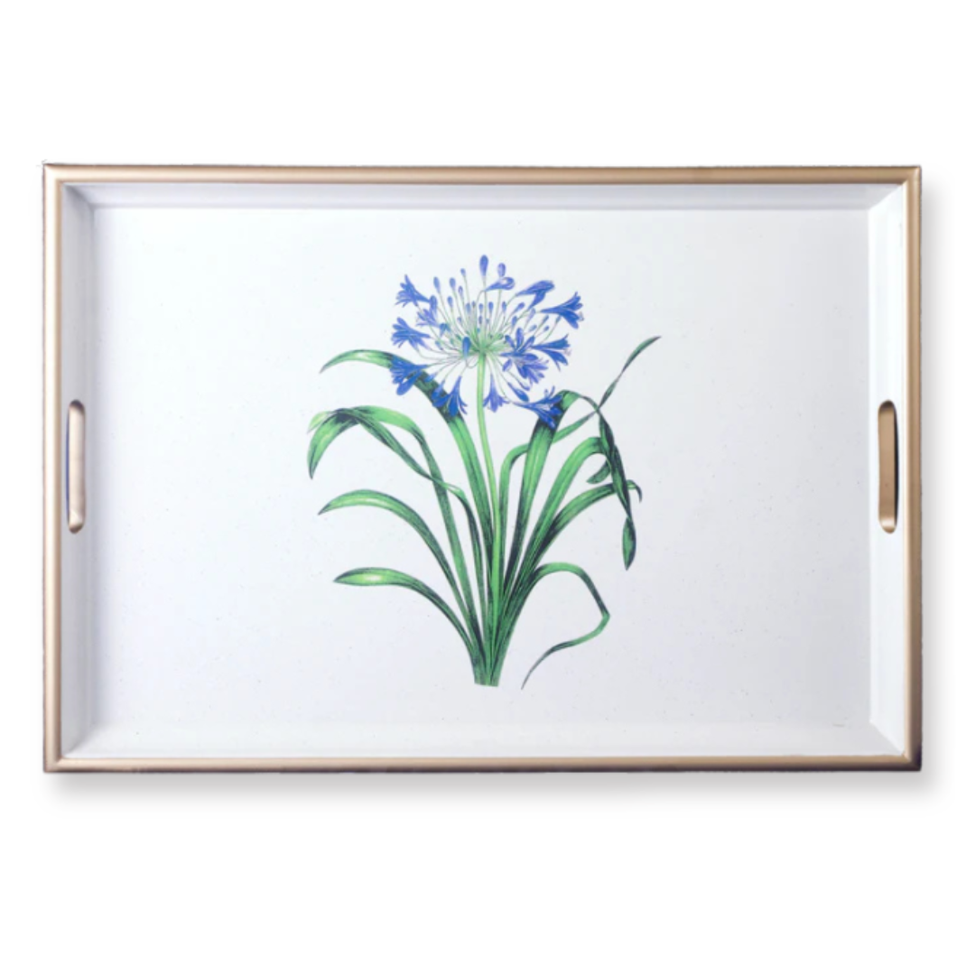 Large Rectangular Tray: Agapanthus