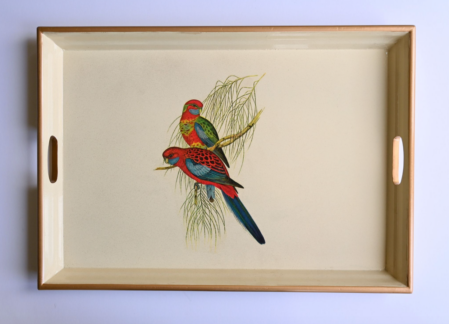 Large Rectangular Tray: Pair of Parrots