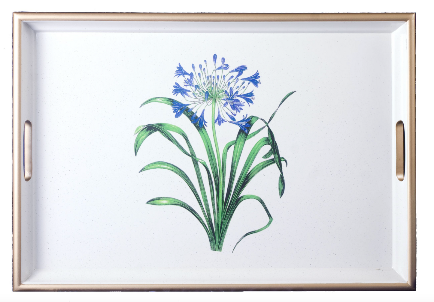 Large Rectangular Tray: Agapanthus