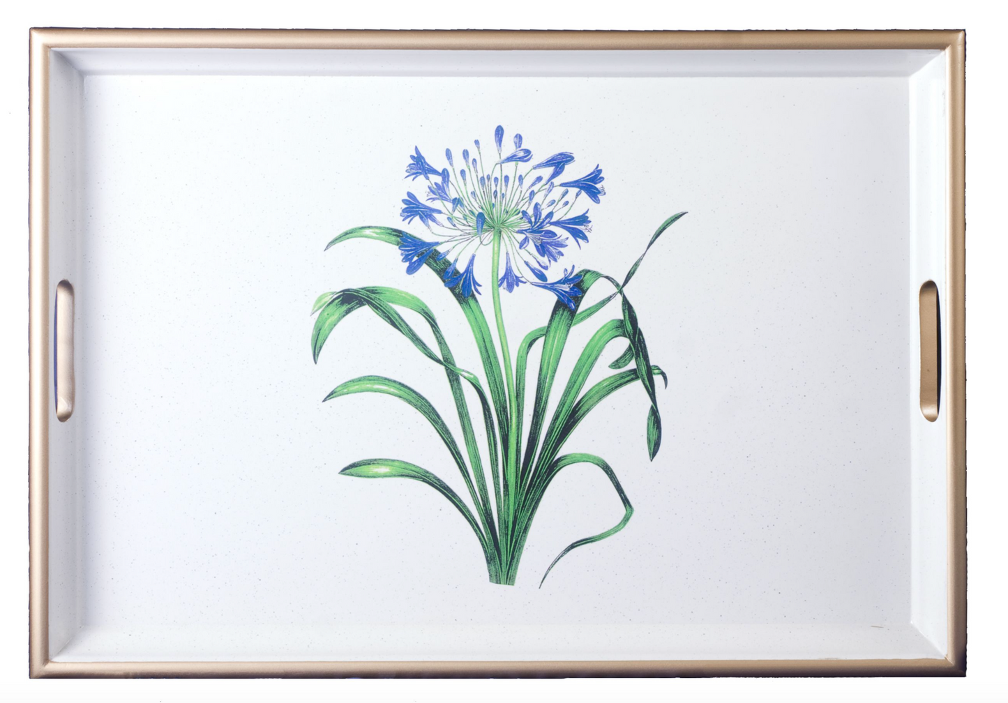 Large Rectangular Tray:  Agapanthus