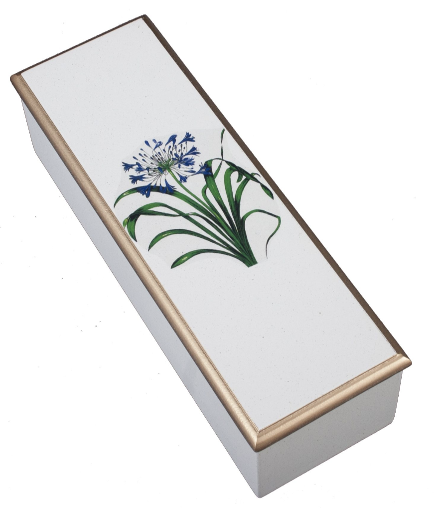 Organiser Box: Agapanthus