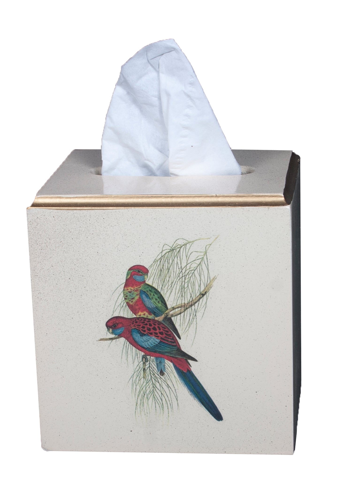 Square Tissue Box Cover: Pair of Parrots