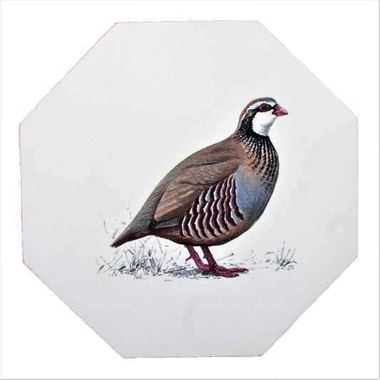 Octagonal Tablemats Set of 4 (Boxed): Partridge