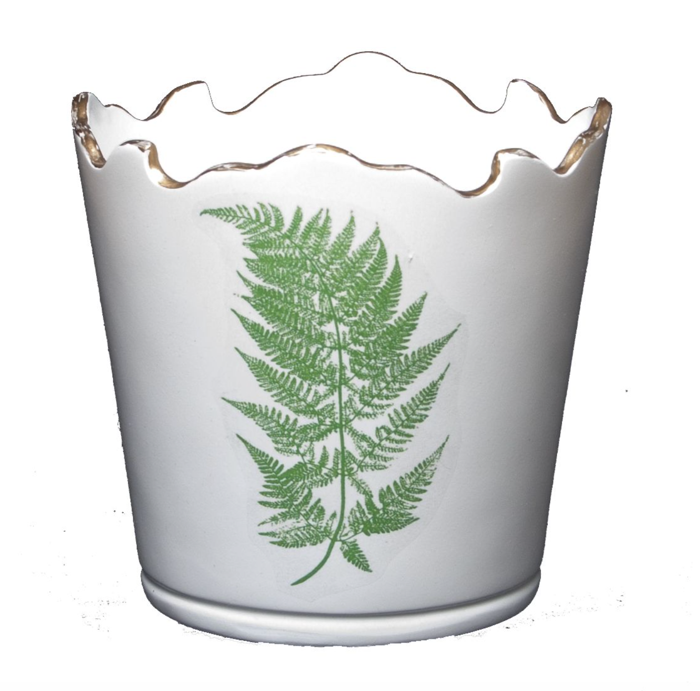 Scalloped Top Cachepot/Decorative Planter: Fern