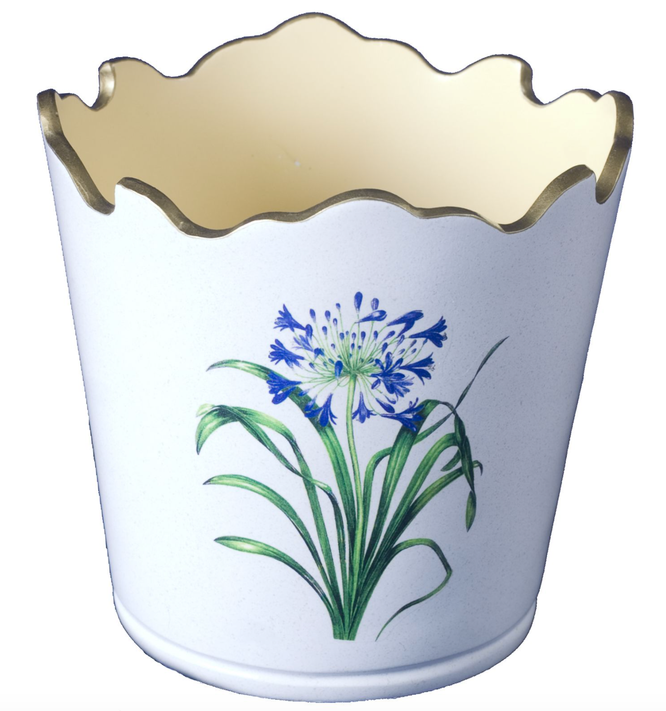 Scalloped Top Cachepot/decorative Planter: Agapanthus