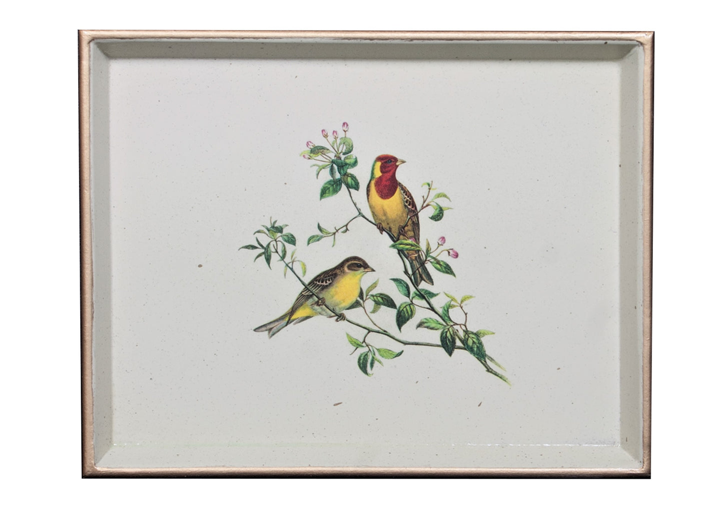 A decorative tray featuring a central illustration of two songbirds on a branch, surrounded by a gilded gold rim and a baize base.
