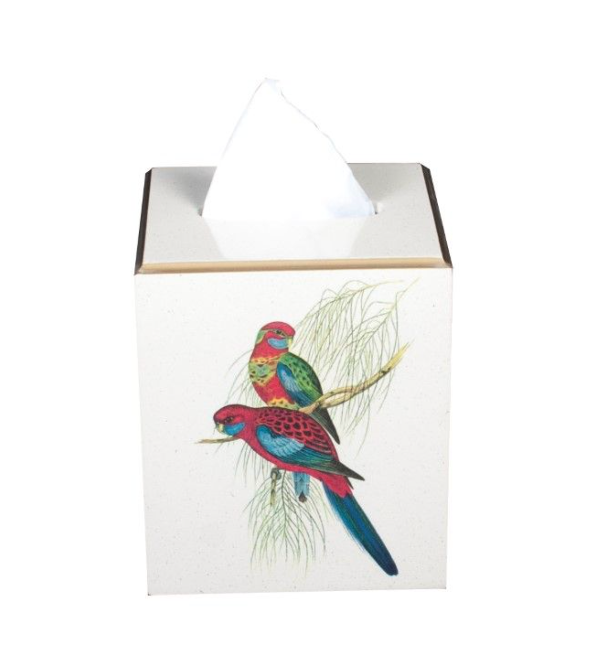 Square Tissue Box Cover: Pair of Parrots