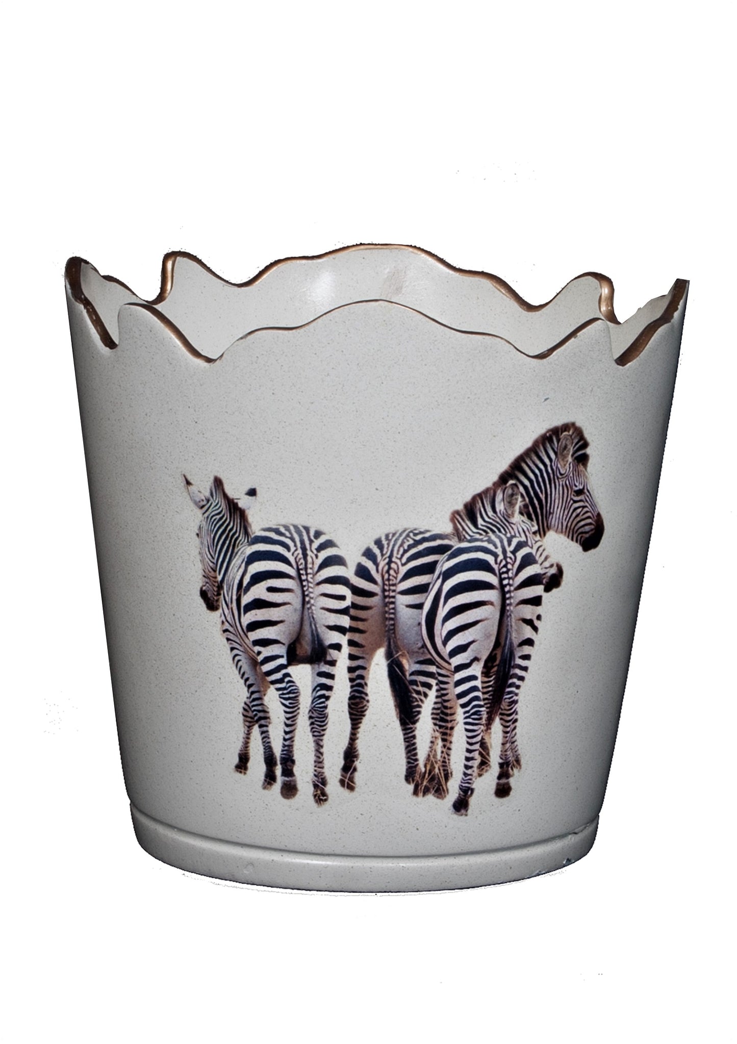 Scalloped Top Cachepot/Decorative Planter: Zebra