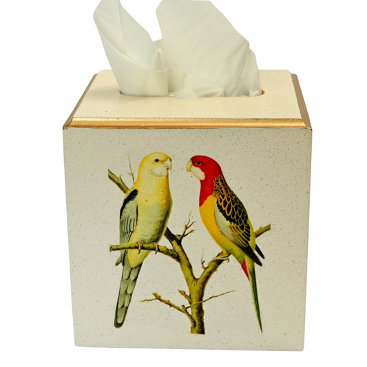 Square Tissue Box Cover:  Parakeets