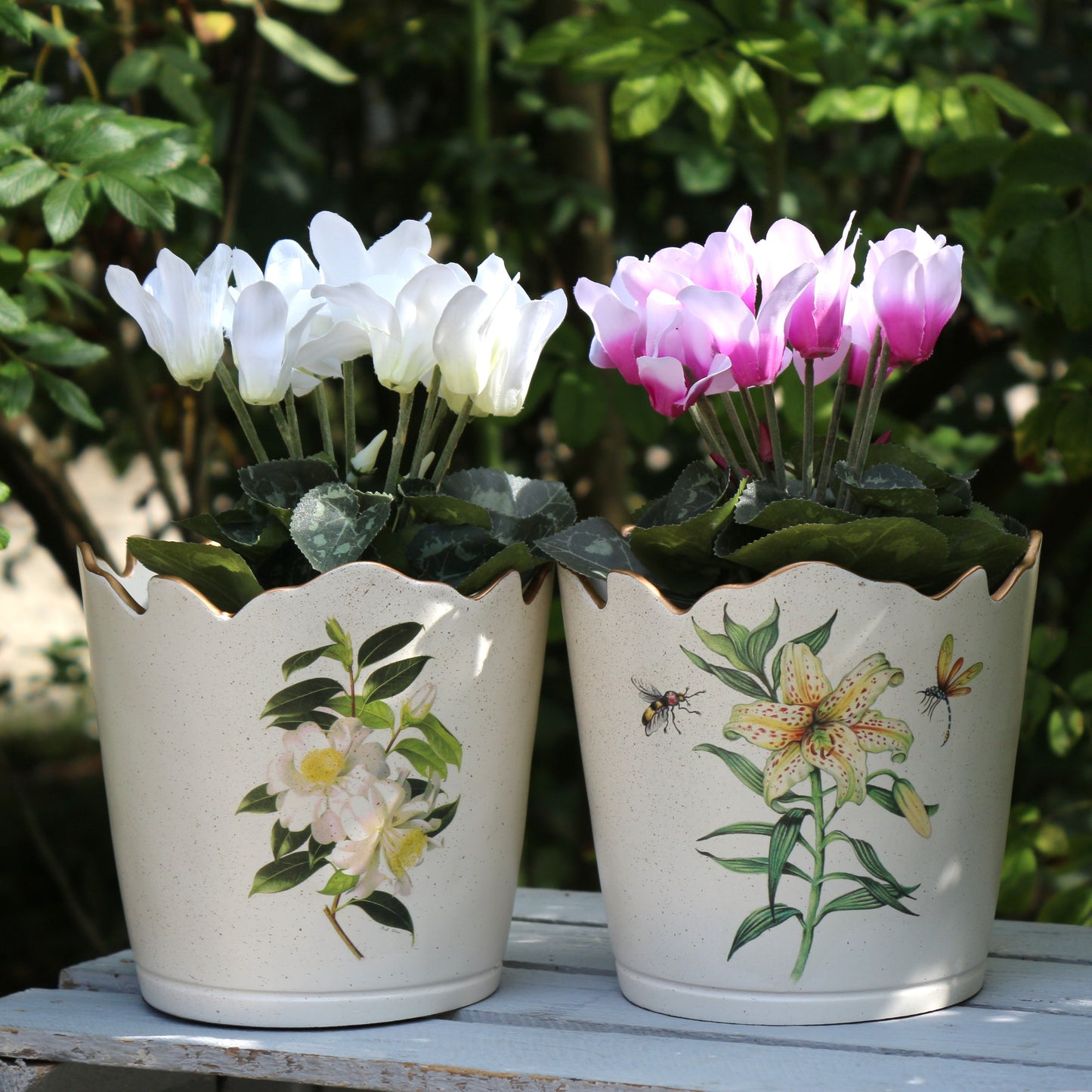 Scalloped Top Cachepot/Decorative Planter: Japanese Lily
