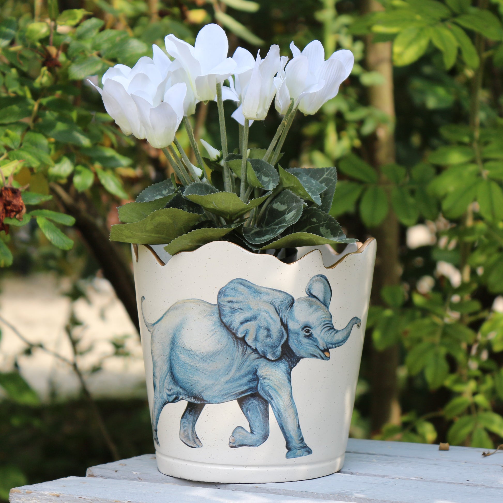 elephant plant pot Scalloped Top Cachepot / Decorative Planter – Anthony Steuart