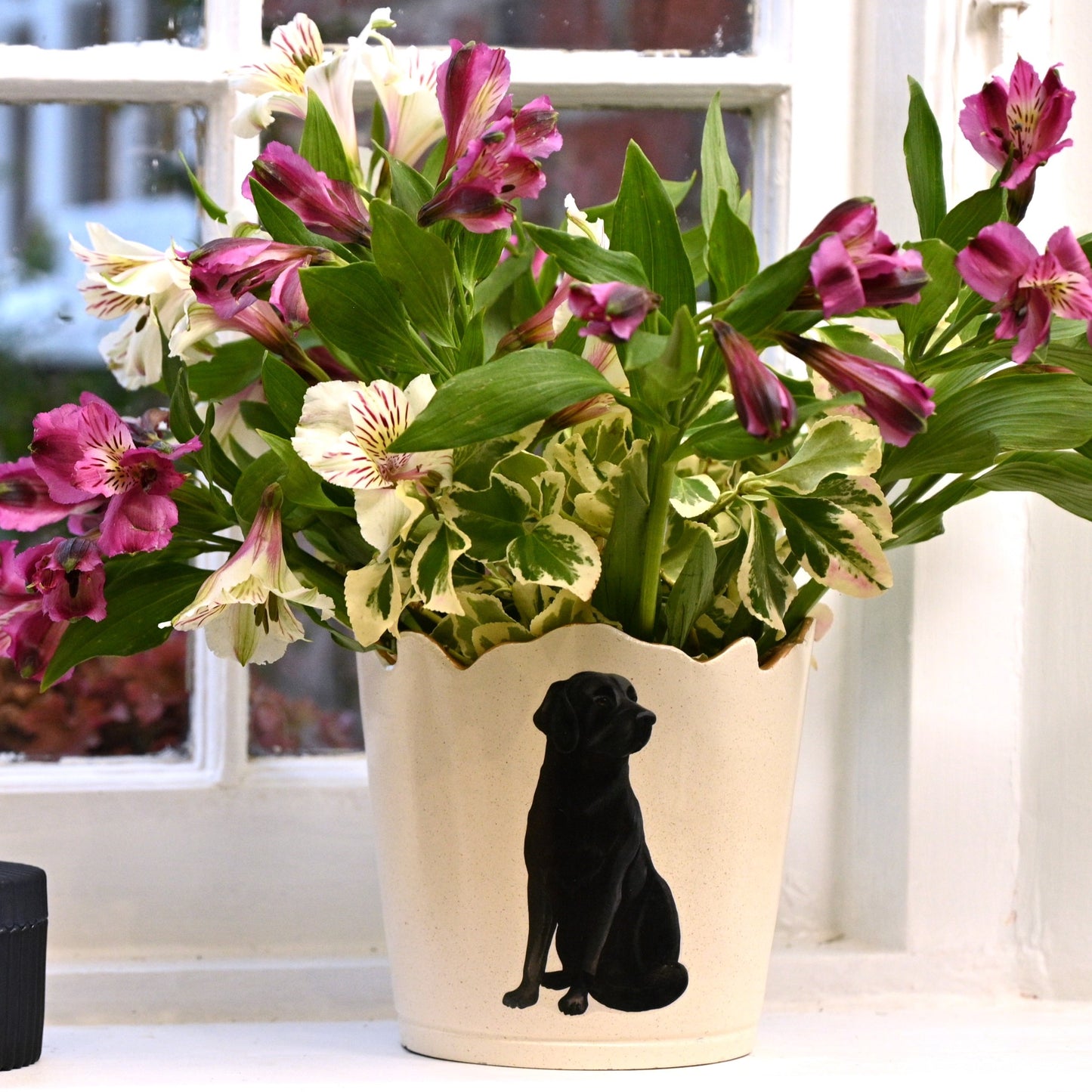Scalloped Top Cachepot/Decorative Planter: Labrador
