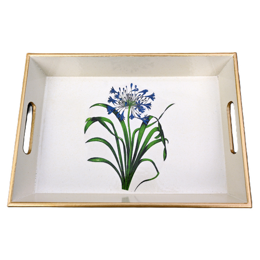 Drinks Tray, Agapanthus