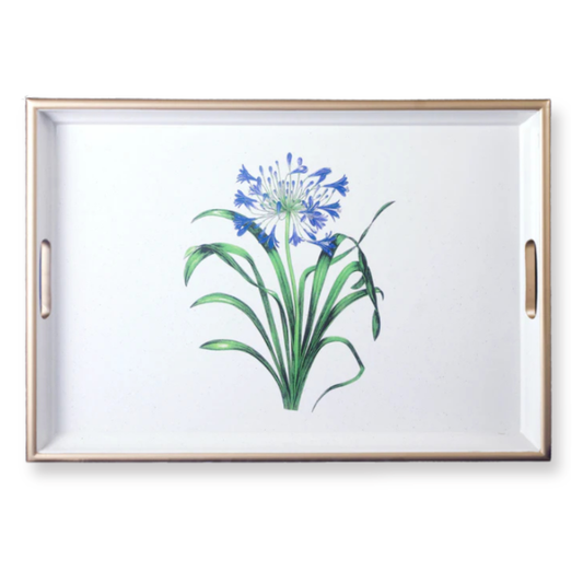 Large Rectangular Tray:  Agapanthus