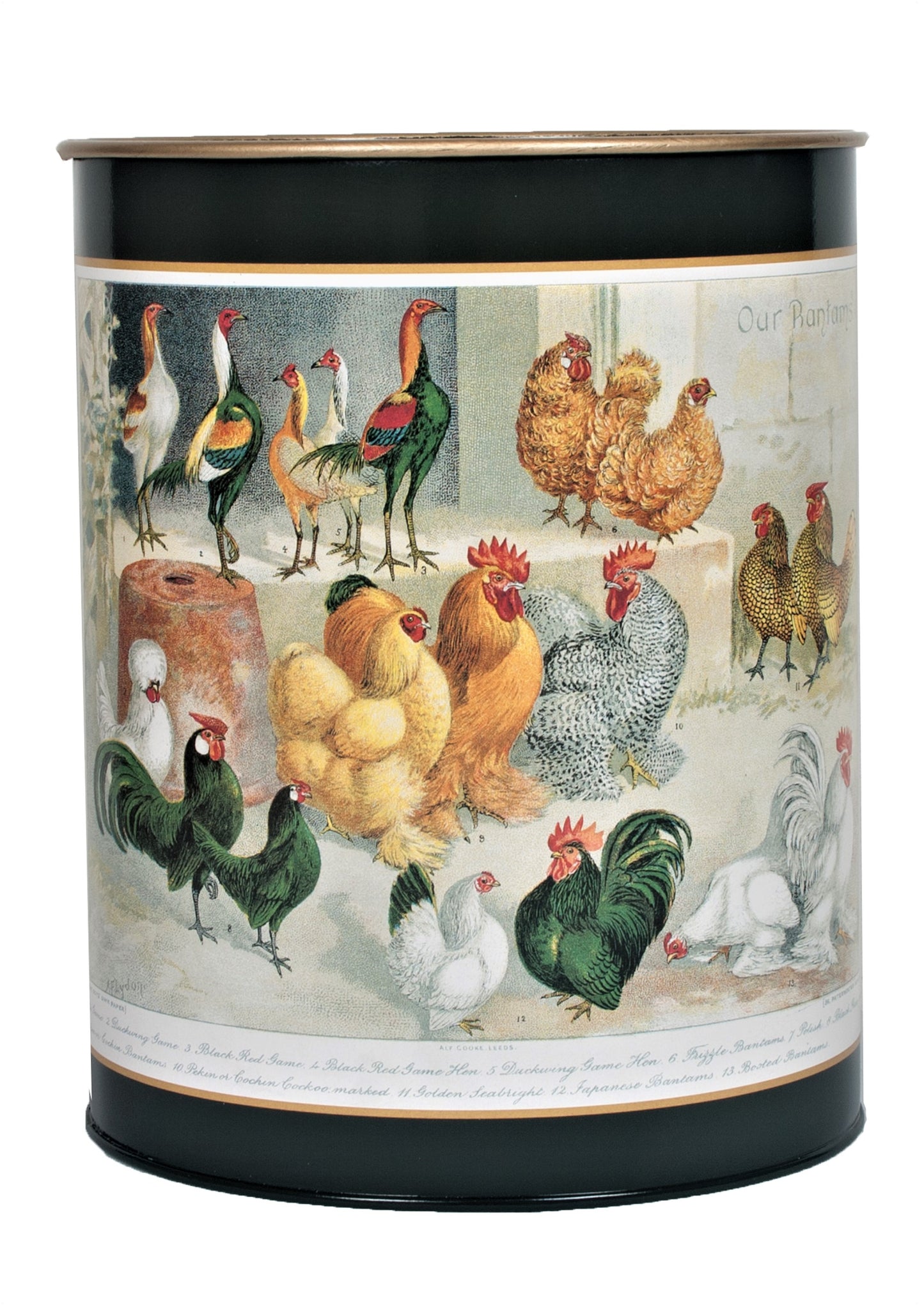 Oval Waste Paper Bin: Chickens on Dark Green