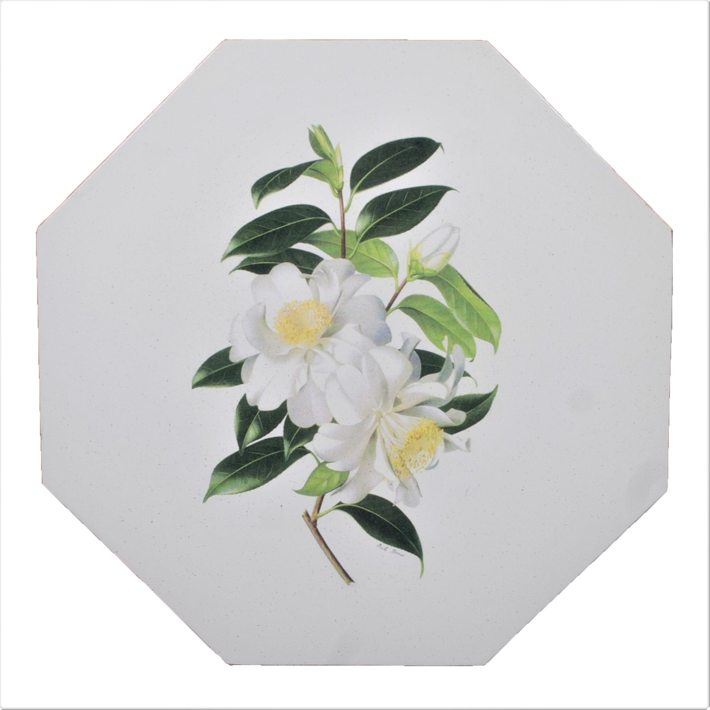 Octagonal Tablemats Set of 4 (boxed): Camellia