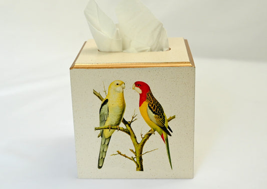Square Tissue Box Cover: Parakeet