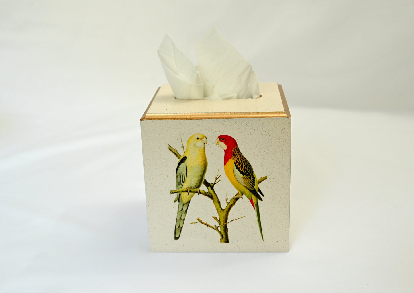 Square Tissue Box Cover: Parakeet