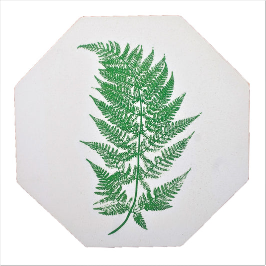 Octagonal Tablemats Set of 4 (boxed): Fern