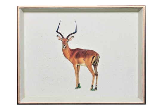 Vanity Tray: Impala
