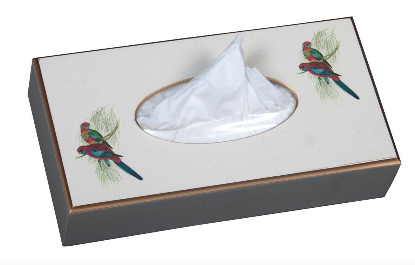 Rectangular Tissue Box Cover: Pair of Parrots