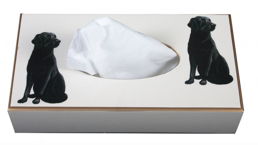 Rectangular Tissue Box cover: Labrador