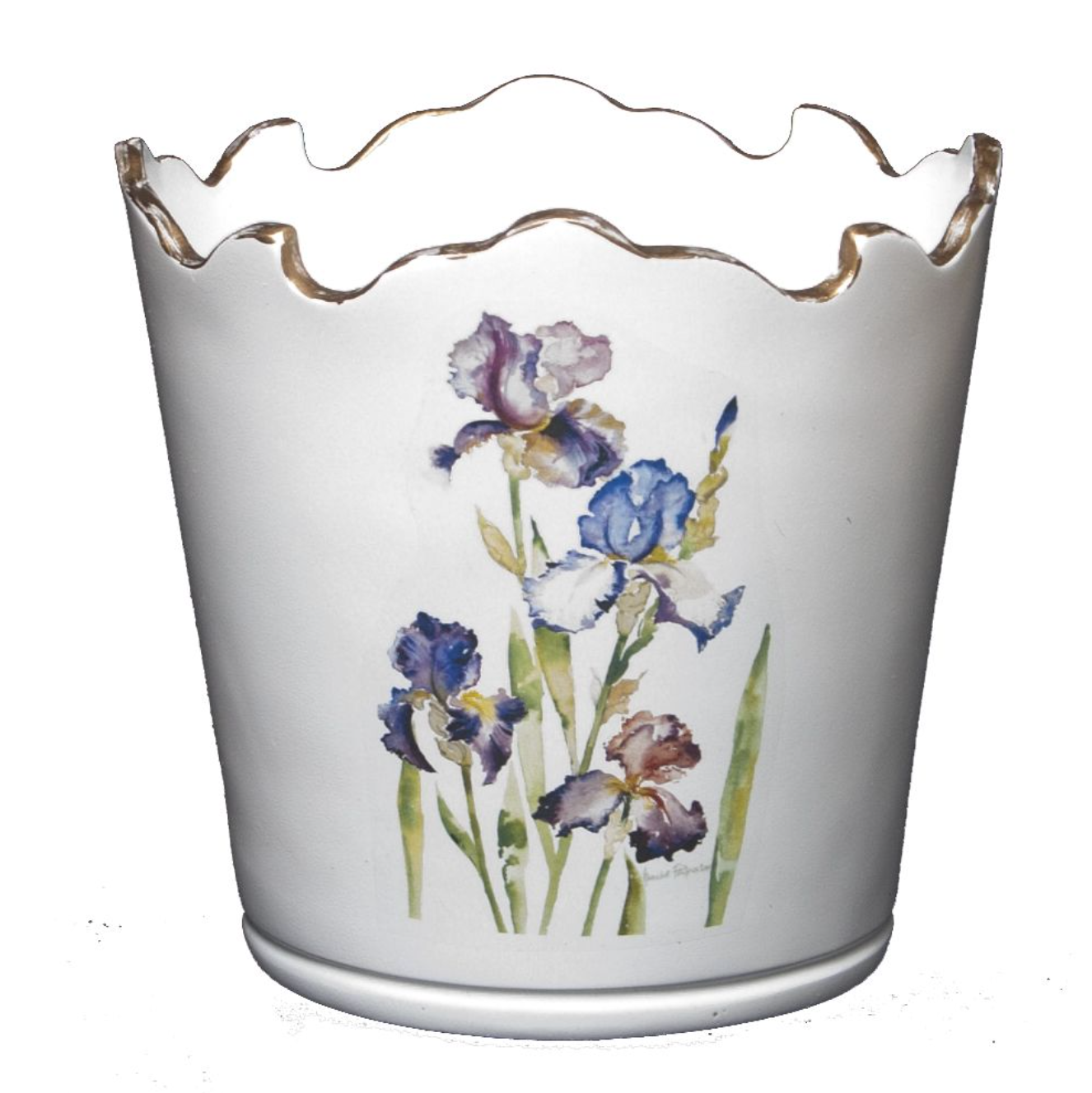 Scalloped Top Cachepot/Decorative Planter: Iris