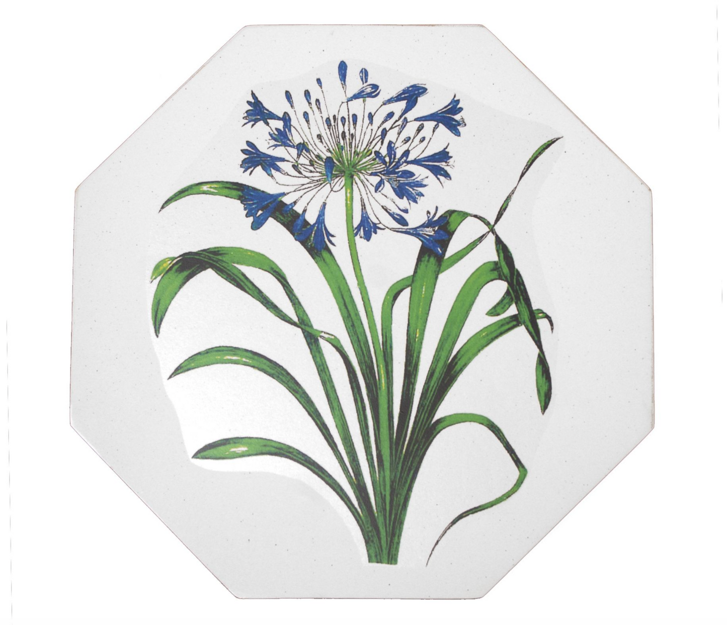 Octagonal Tablemats Set of 4 (boxed): Agapanthus