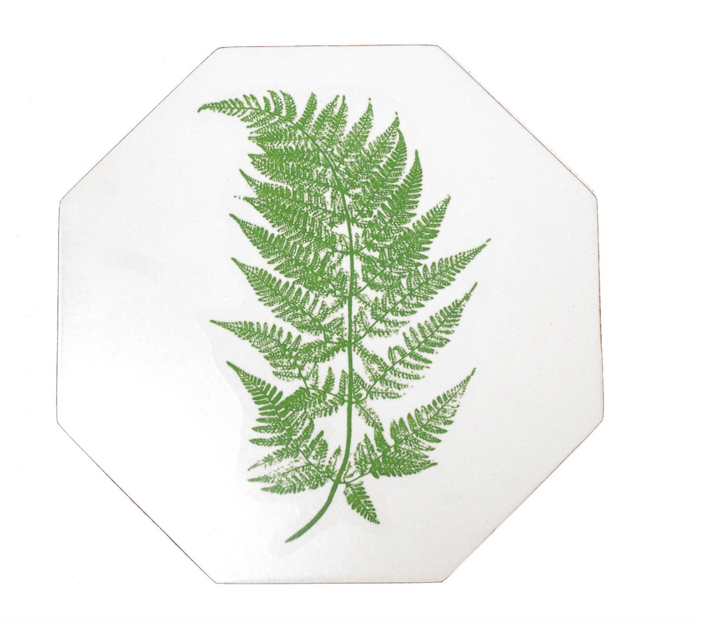 Octagonal Tablemats Set of 4 (boxed): Fern