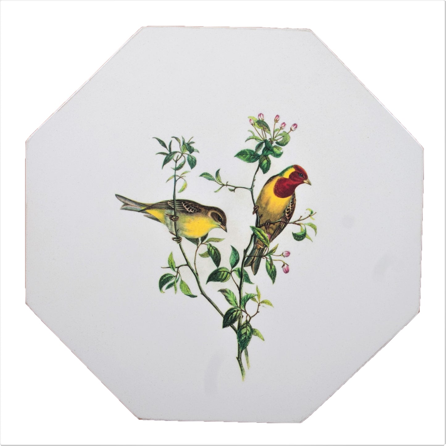 Octagonal Tablemats Set of 4 (boxed): Oriental Songbirds