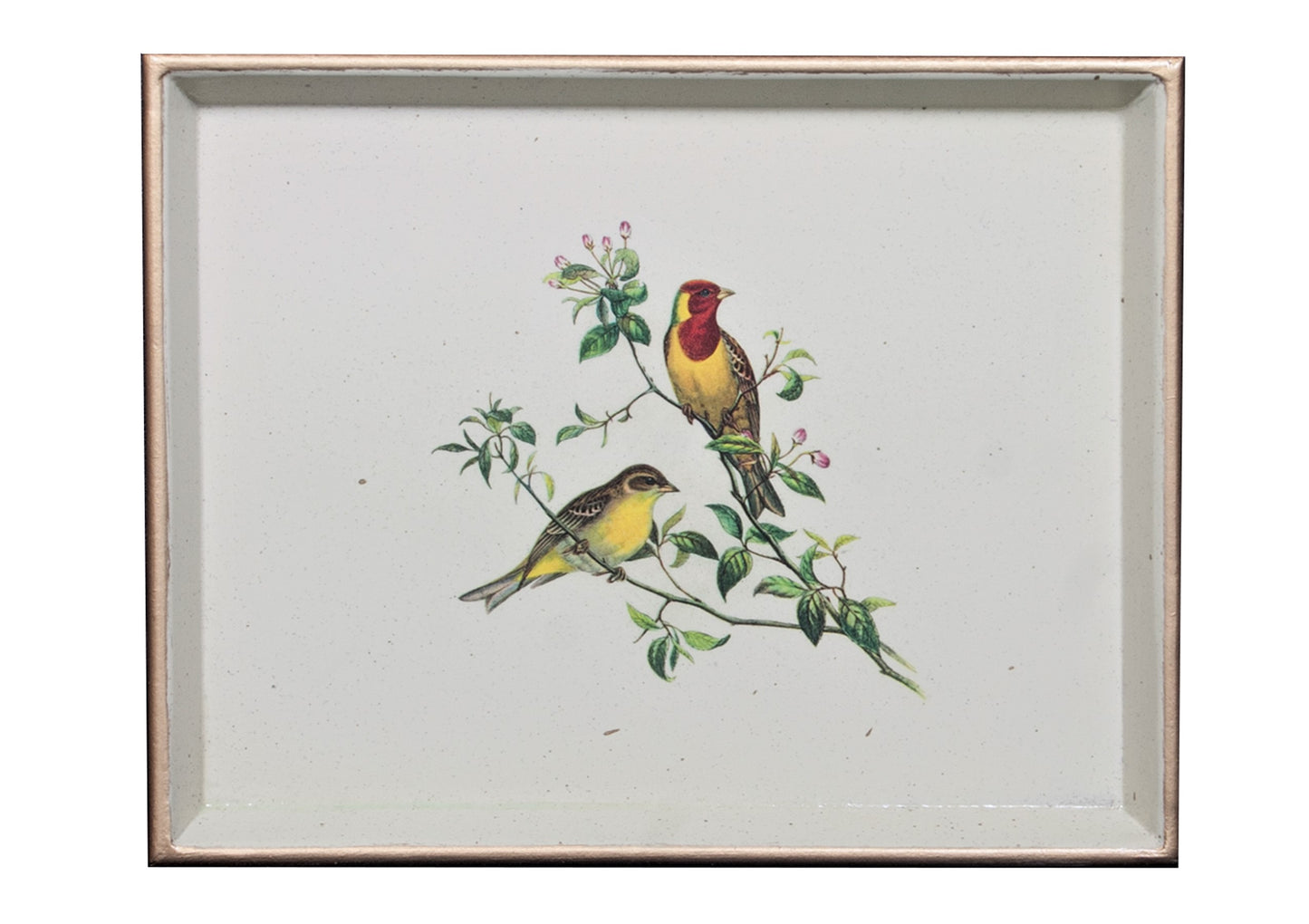 Vanity Tray: Oriental Songbirds