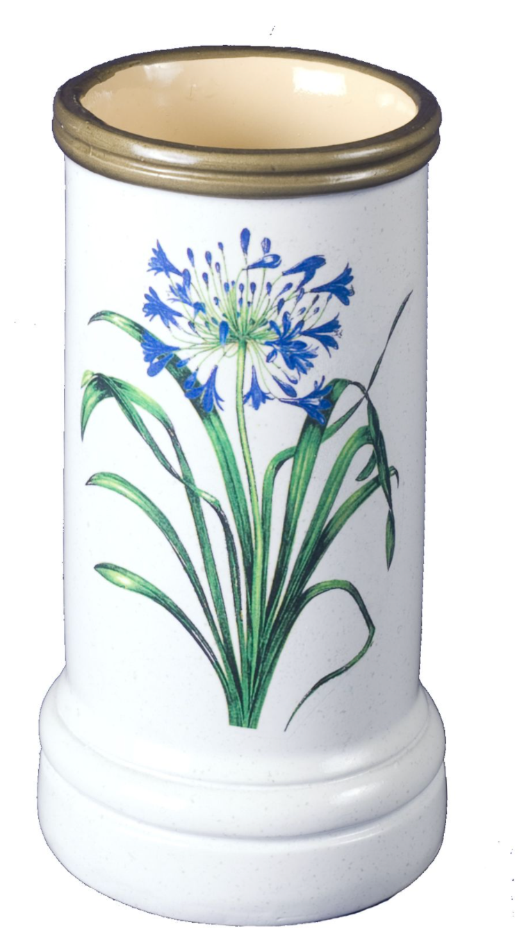Spill Vase: Agapanthus