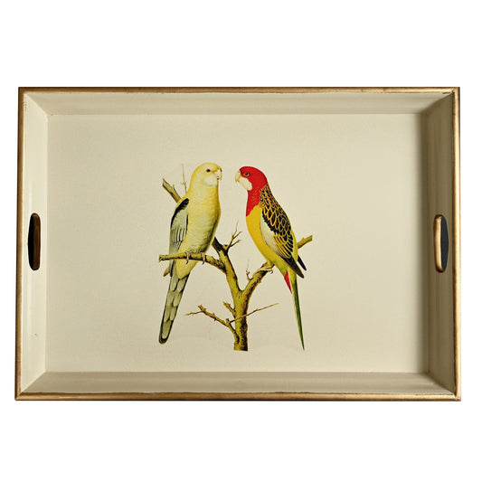 Large Rectangular Tray:  Parakeets